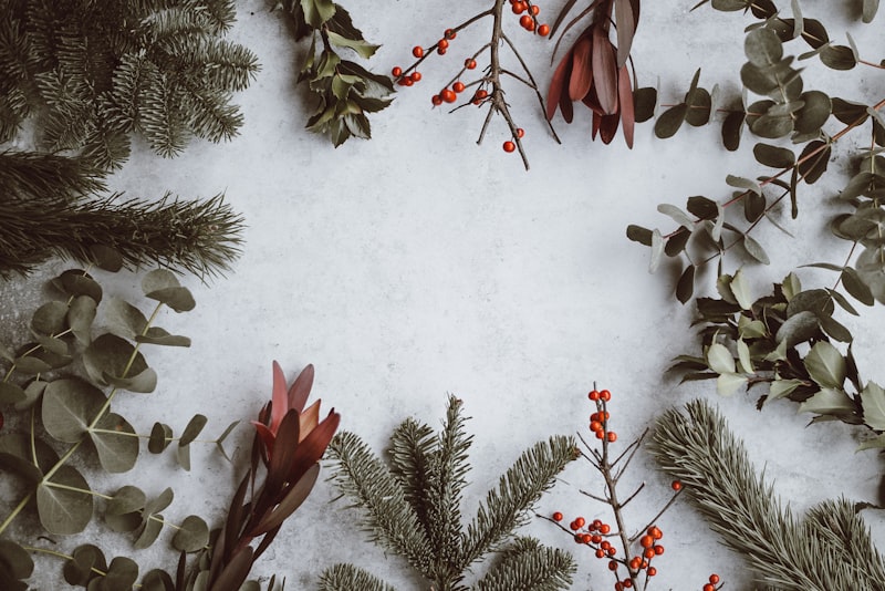 Unwrap the Magic of NYC: Telltale Tours’ Holiday Drinking Extravaganza Tours